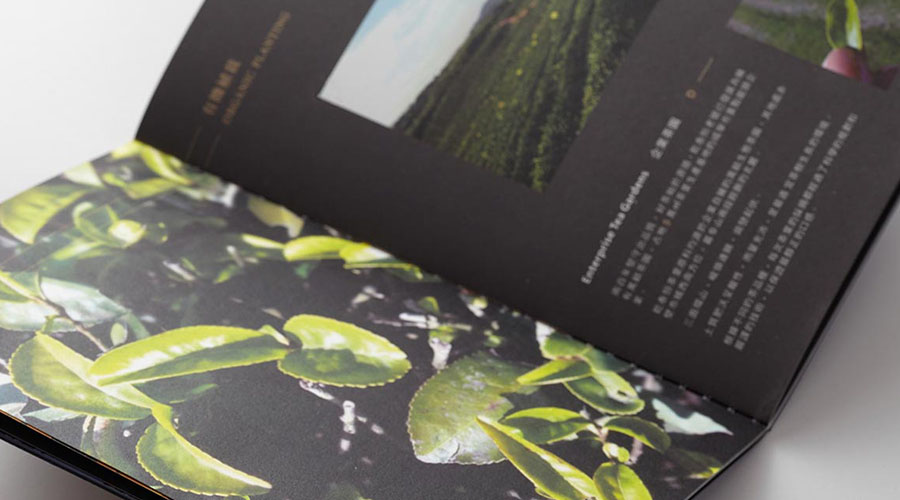 重慶茶葉畫冊(cè)設(shè)計(jì)